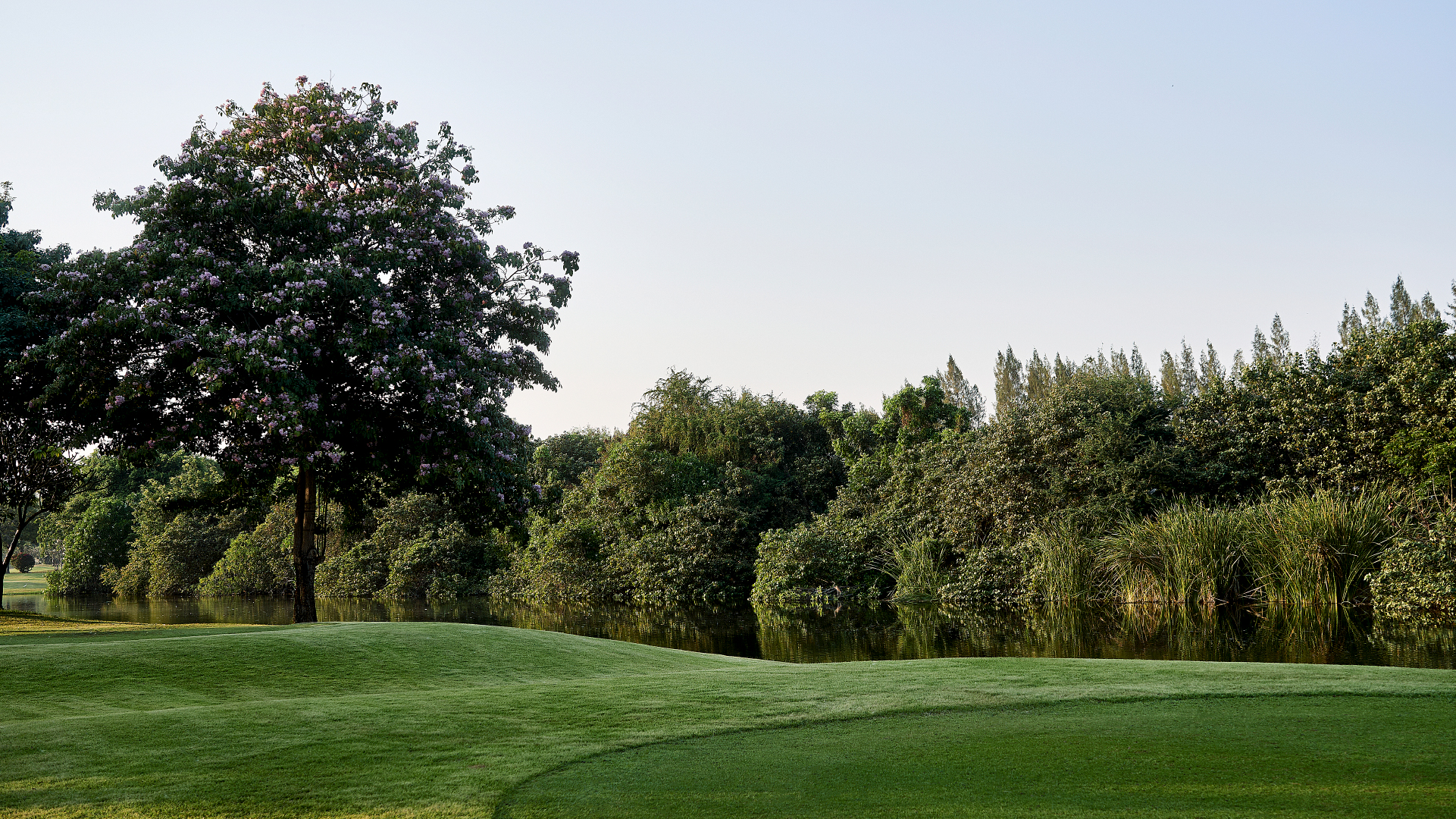 Fearlessness_golf_green